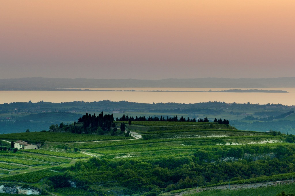 Bodega Allegrini, Italia